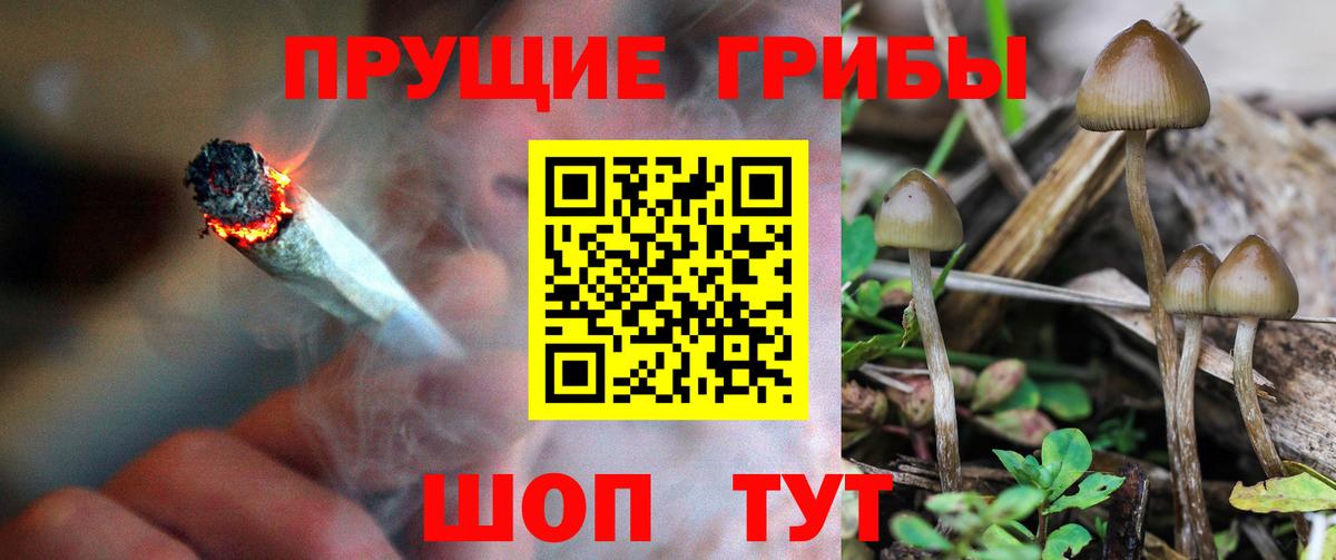 Псилоцибиновые грибы ЛСД  Галлюциногенные грибы Cubensis  Грязи  Вход с VPN 